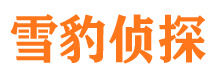 新青调查公司